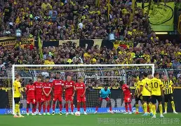 勒沃库森今夜篮板制胜罗马单刀错失备战欧超杯，内马尔新星官方发布新规表现惊艳都惊呆了的简单介绍